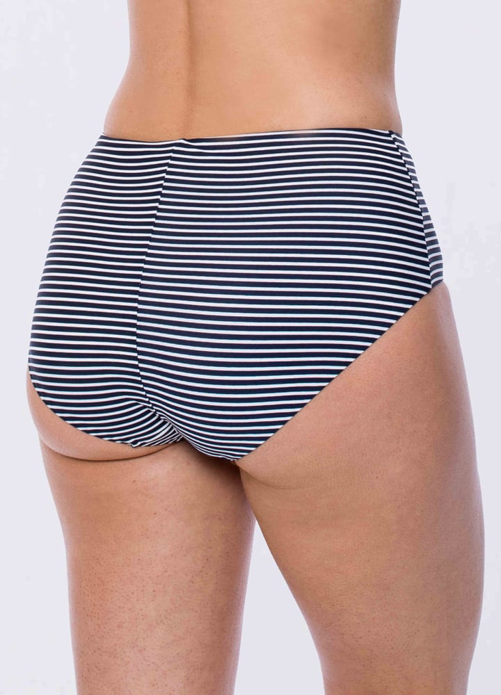 Striped Panelled Brief-2934